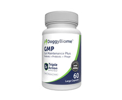 TummyFix 40+